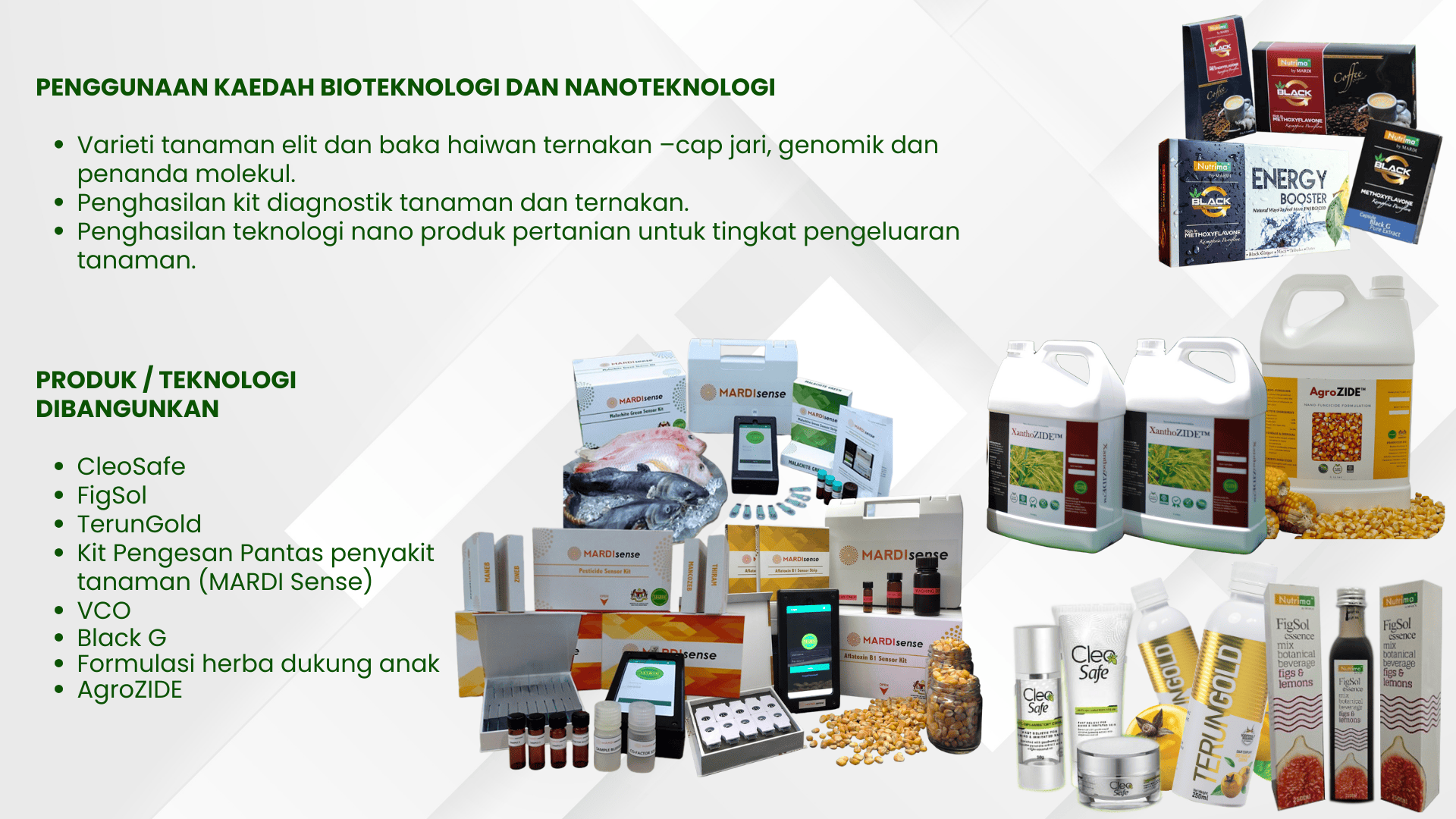 BN TEKNOLOGI