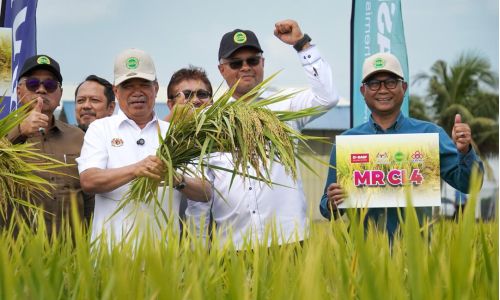 MARDI DAN BASF PERKENAL DUA VARIETI PADI BAHARU MR CL3 DAN MR CL4 MELALUI SISTEM PENGELUARAN CLEARFIELD®